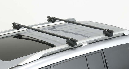 Square Base Roof Rack Kit, for Raised Side Rails, Black, 110 lb Capacity, Set of 4 with Straps and Locks.